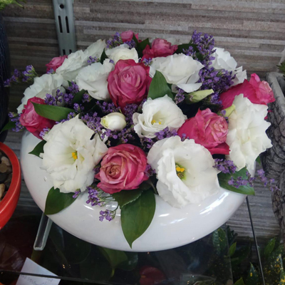 סופיה - לה רוז דה פריז