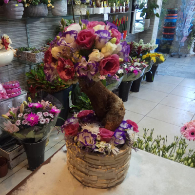 סינדרלה - לה רוז דה פריז