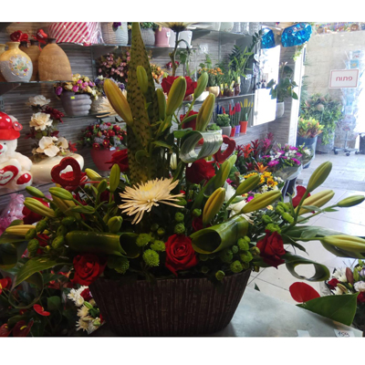 אהבה רועשת - לה רוז דה פריז