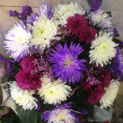 סיגל - לה רוז דה פריז