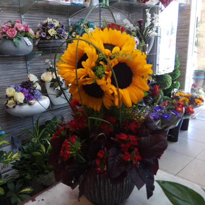 אהבה בצהוב - לה רוז דה פריז