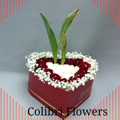 יום אהבה 12 – פרחים קוליברי