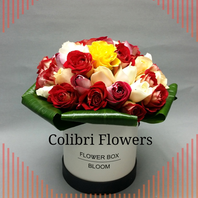 יום אהבה 10 – פרחים קוליברי