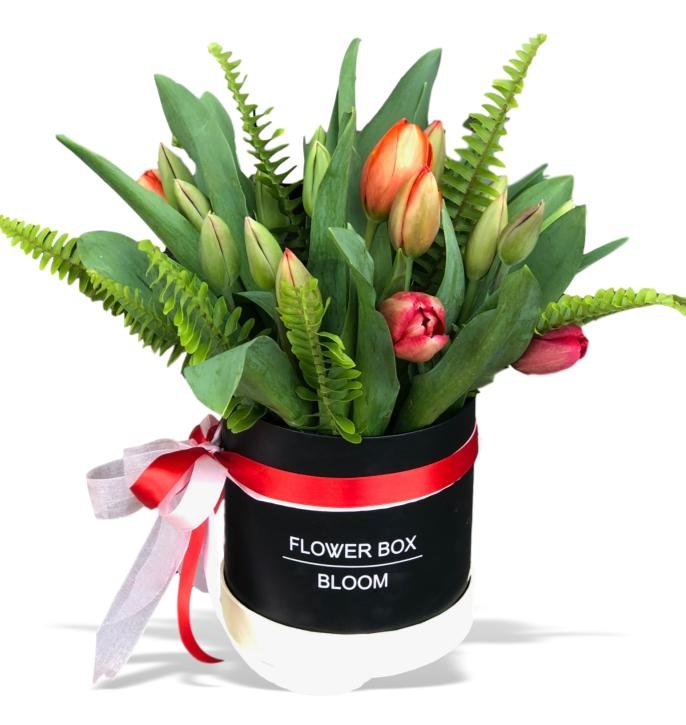 קופסת פרחים הולנד - פרחי עירית