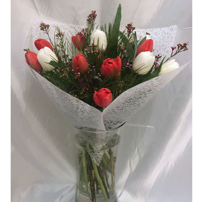 טוליפים אהובים - פרחי ונילה