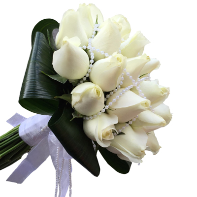 לבן פנינים - פרחי דליה