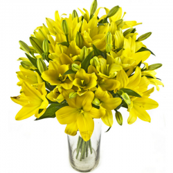 צהוב אלגנטי - חיה'לה פרחים