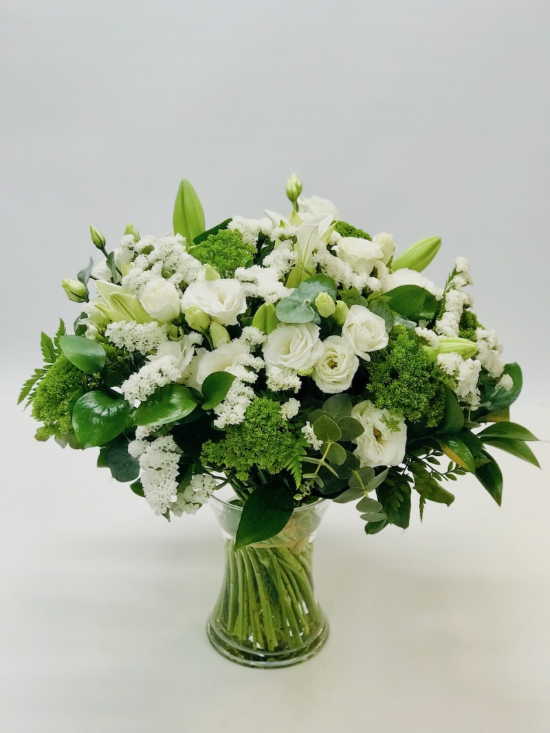 רגעי קסם - אורכידאה