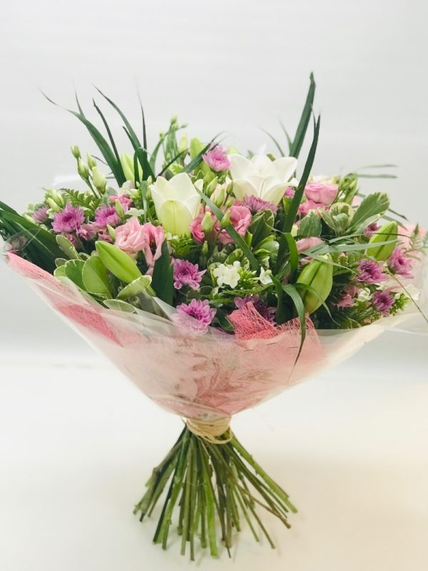 רגעי קסם - אורכידאה