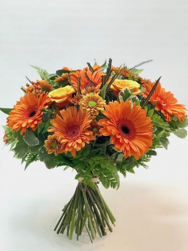 רגעי קסם - אורכידאה