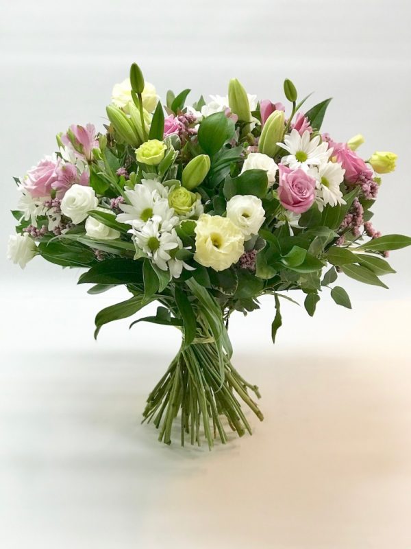 רגעי קסם - אורכידאה