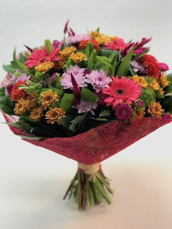 רגעי קסם - אורכידאה