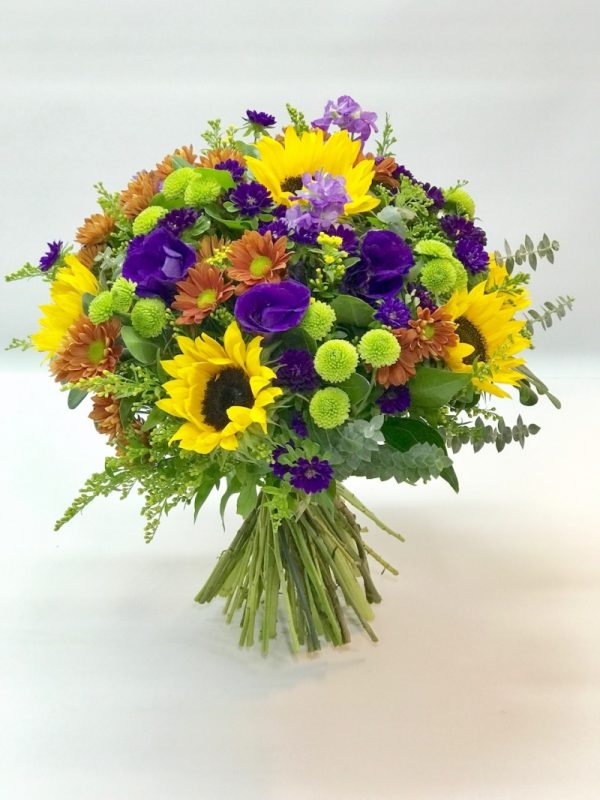 רגעי קסם - אורכידאה