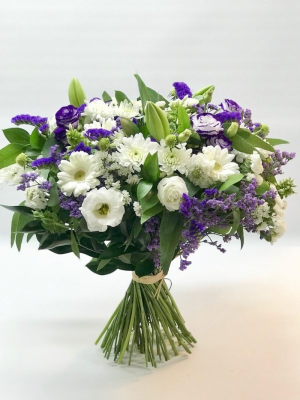 רגעי קסם - אורכידאה