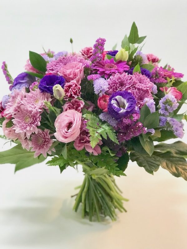 רגעי קסם - אורכידאה