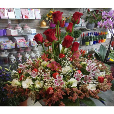 החיים היפים - לה רוז דה פריז