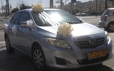 קישוט רכב 18 - לה רוז דה פריז