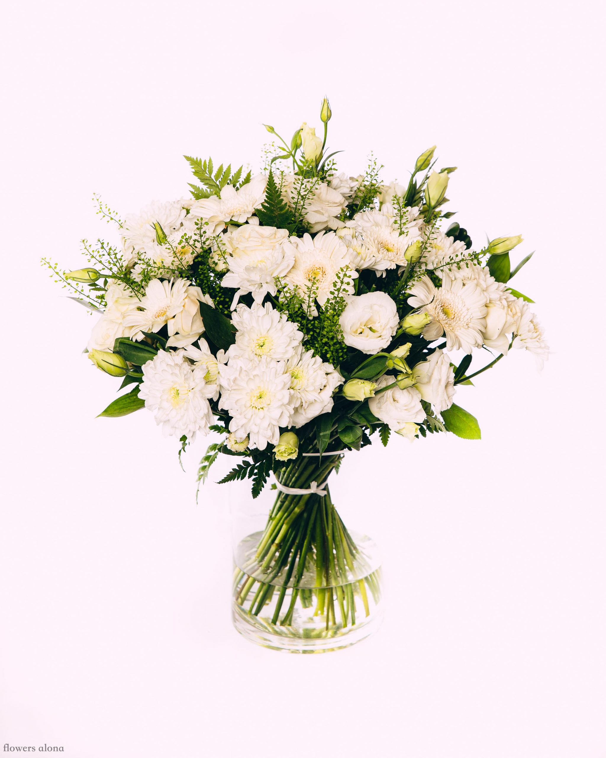 איחולים לבבים - דה גרדן