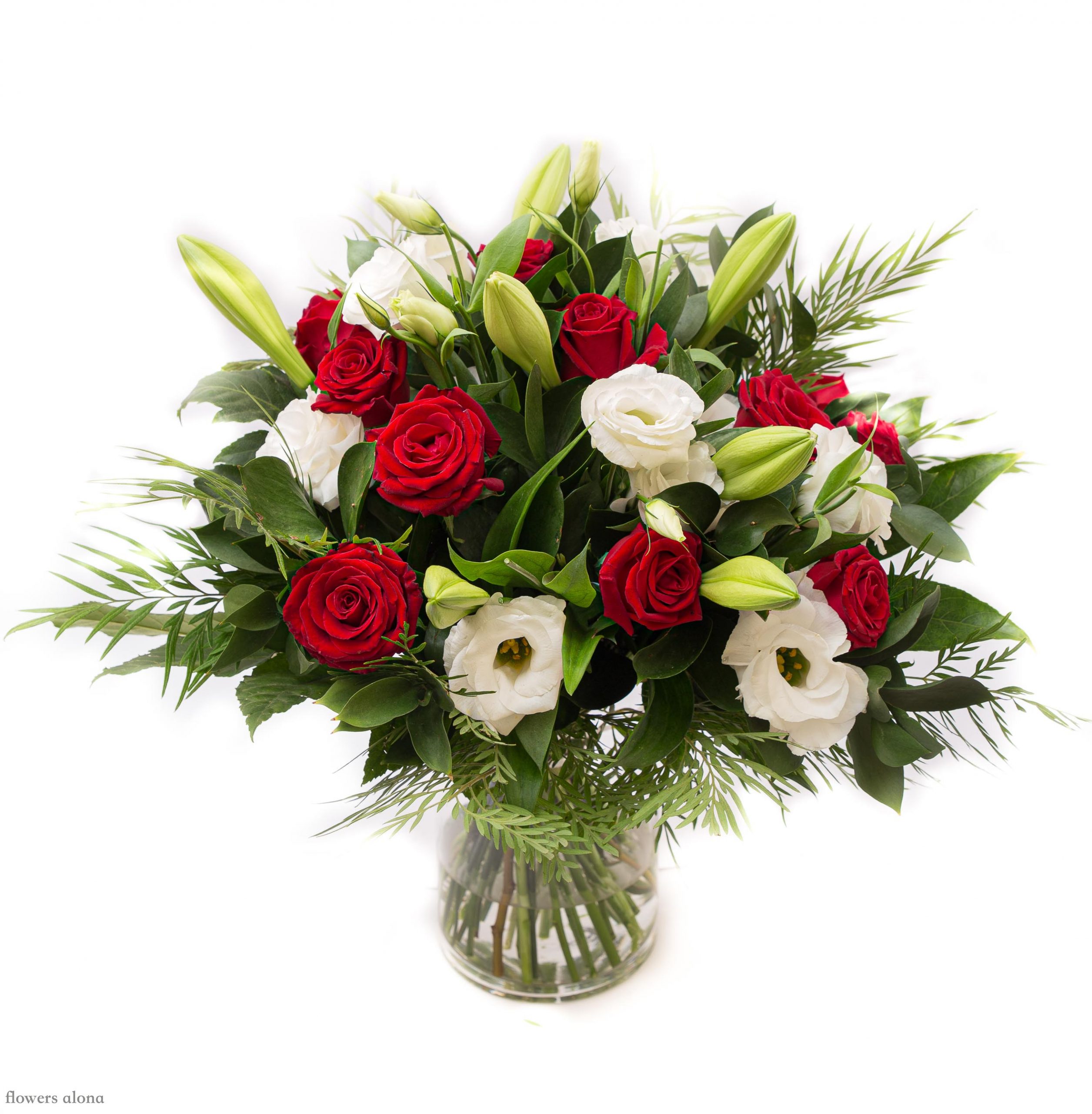 אלף נשיקות - דה גרדן