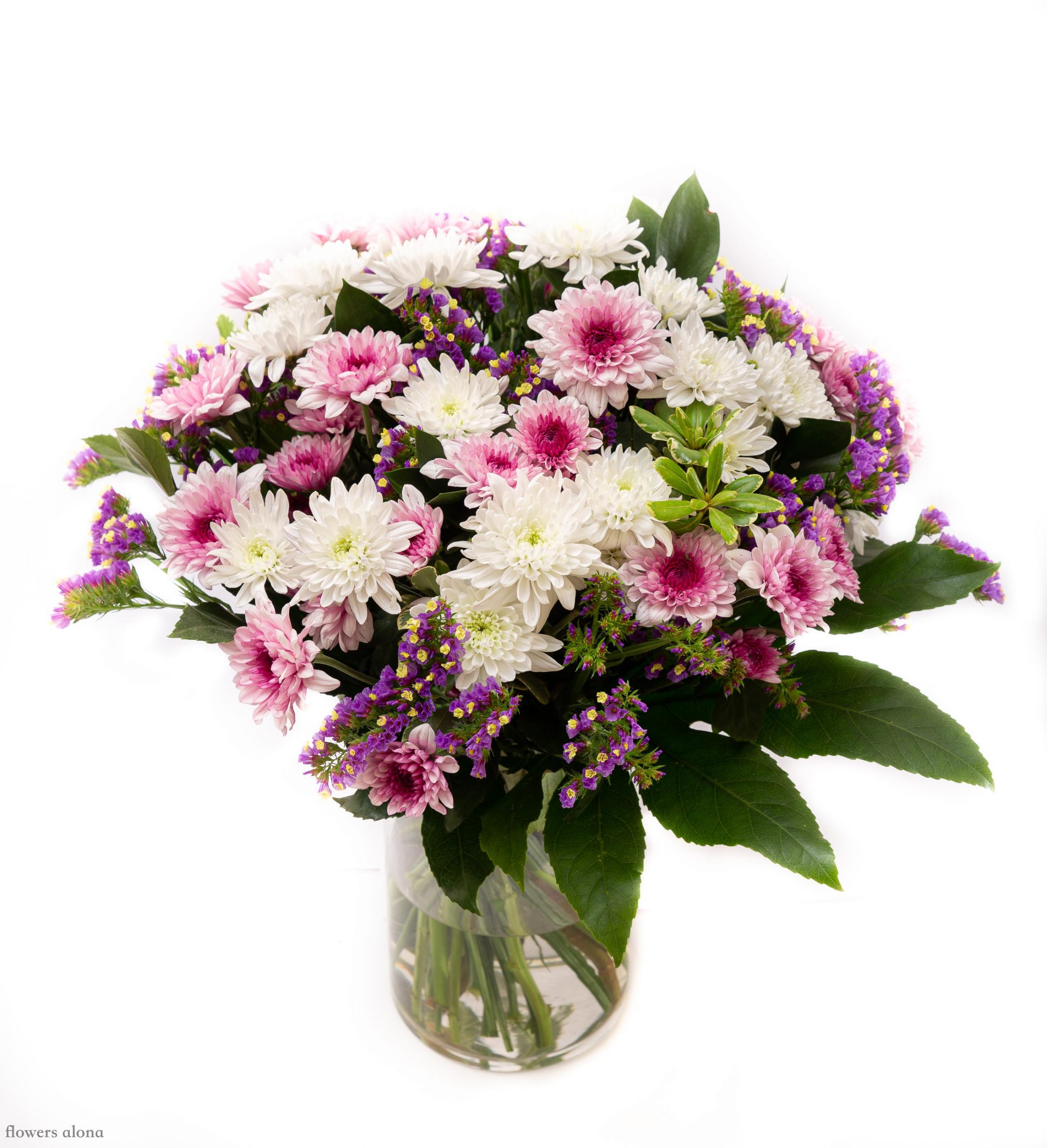 בוקר כפרי - דה גרדן