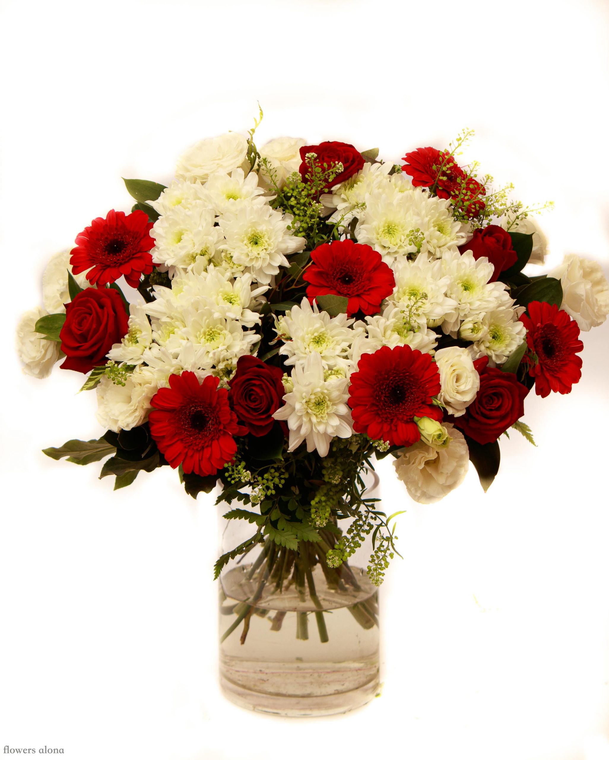 החיים תותים - דה גרדן