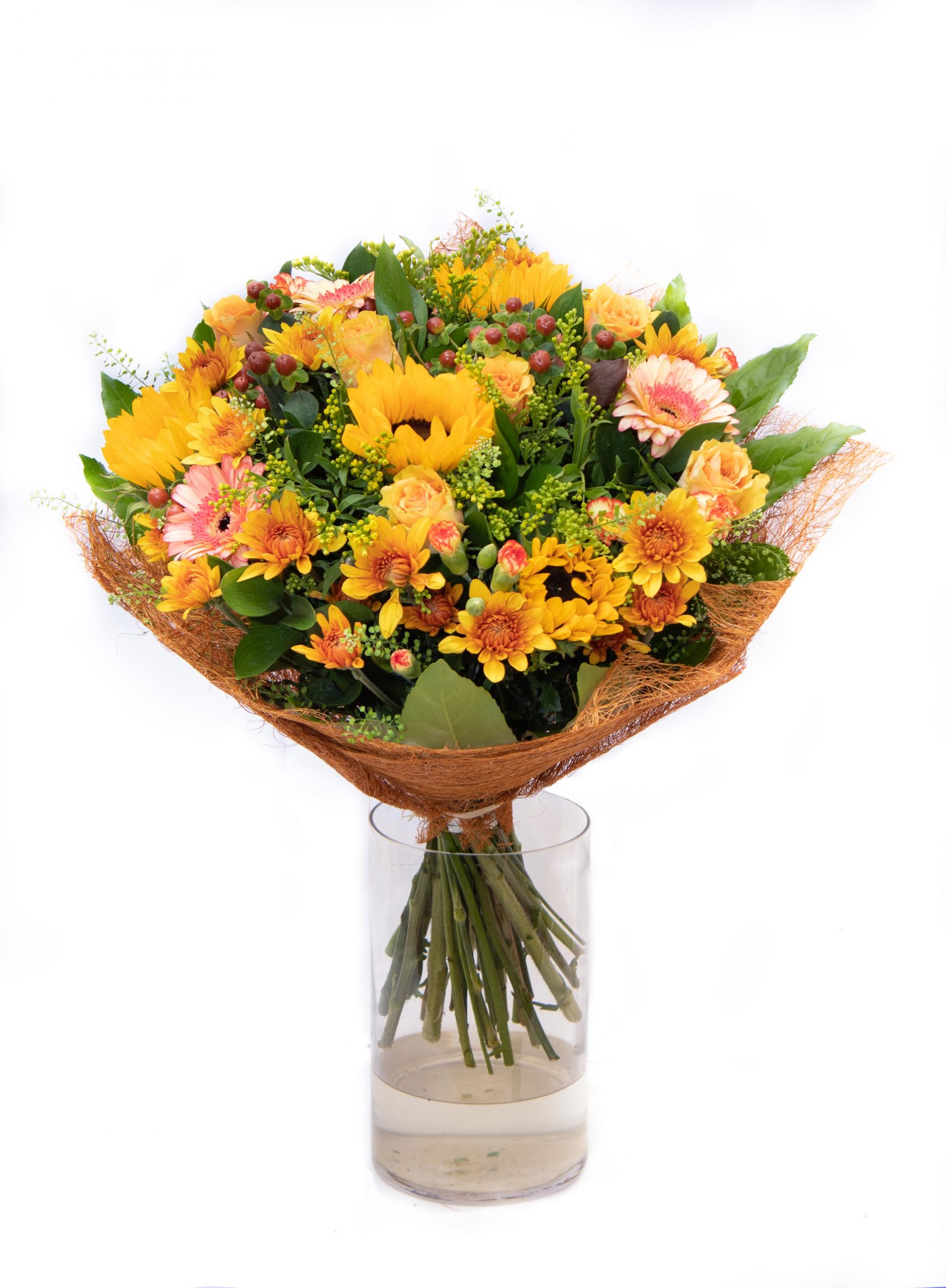 זריחה חדשה - דה גרדן