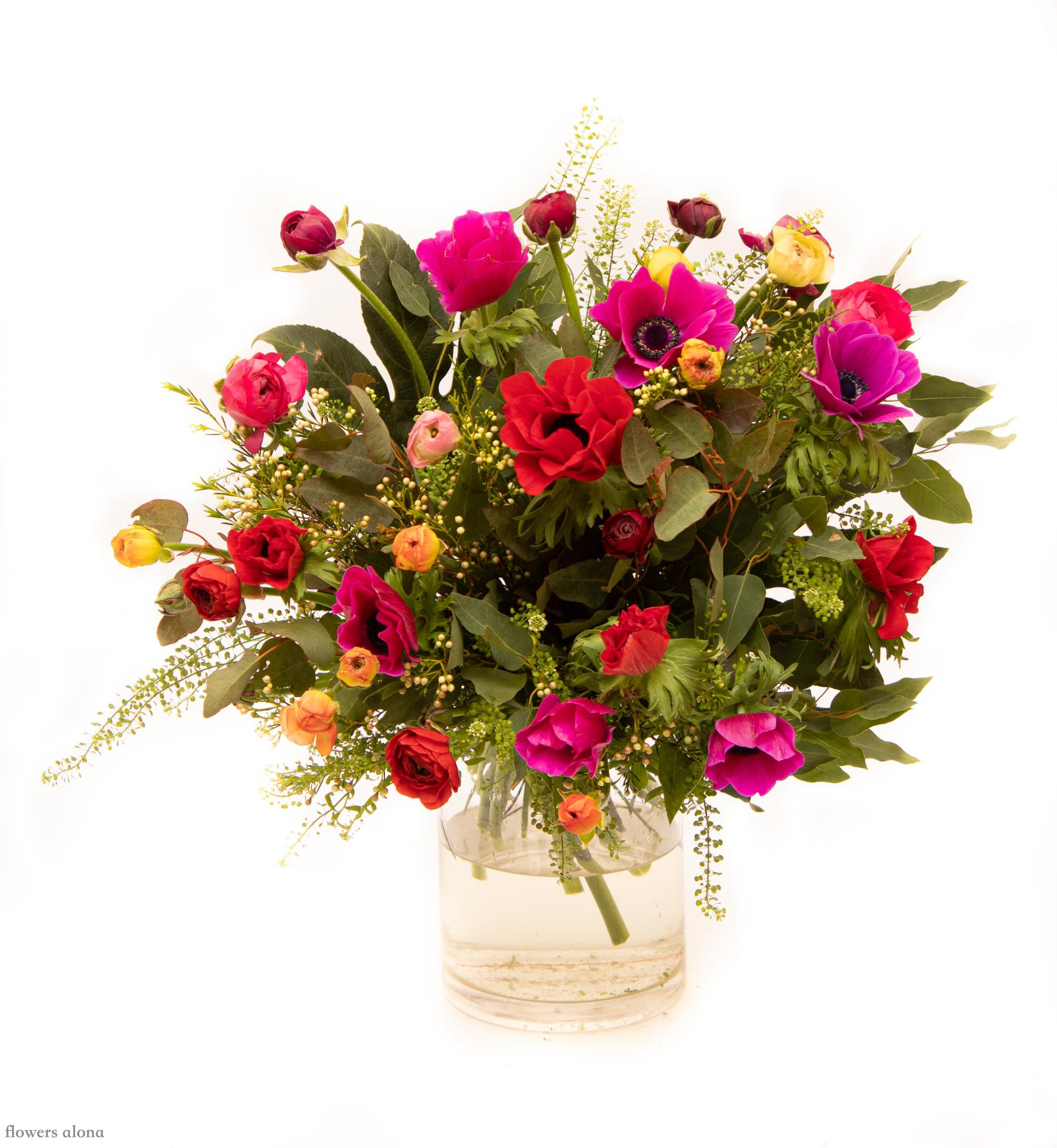 חורף צבעוני - דה גרדן