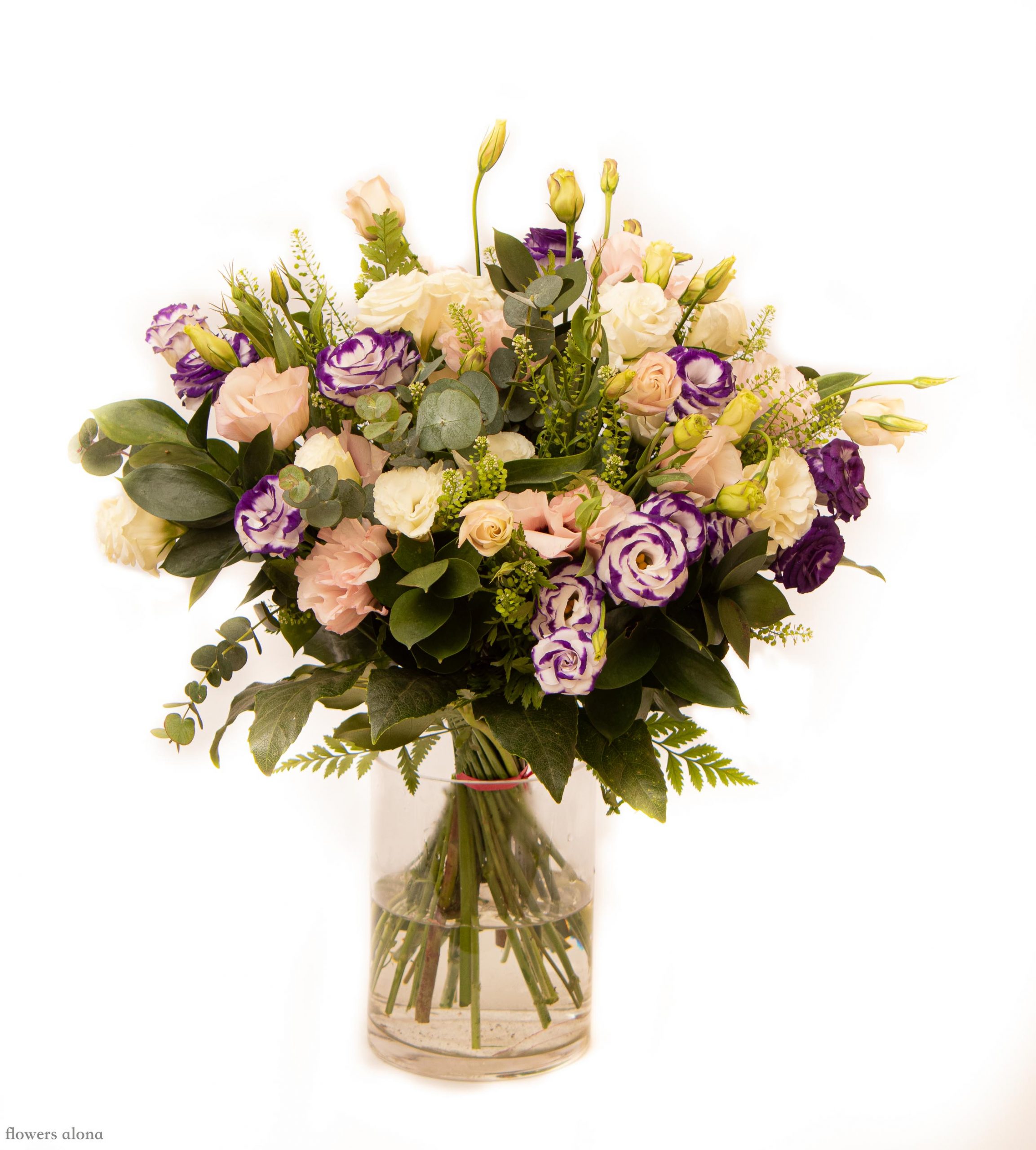 יום יפה - דה גרדן