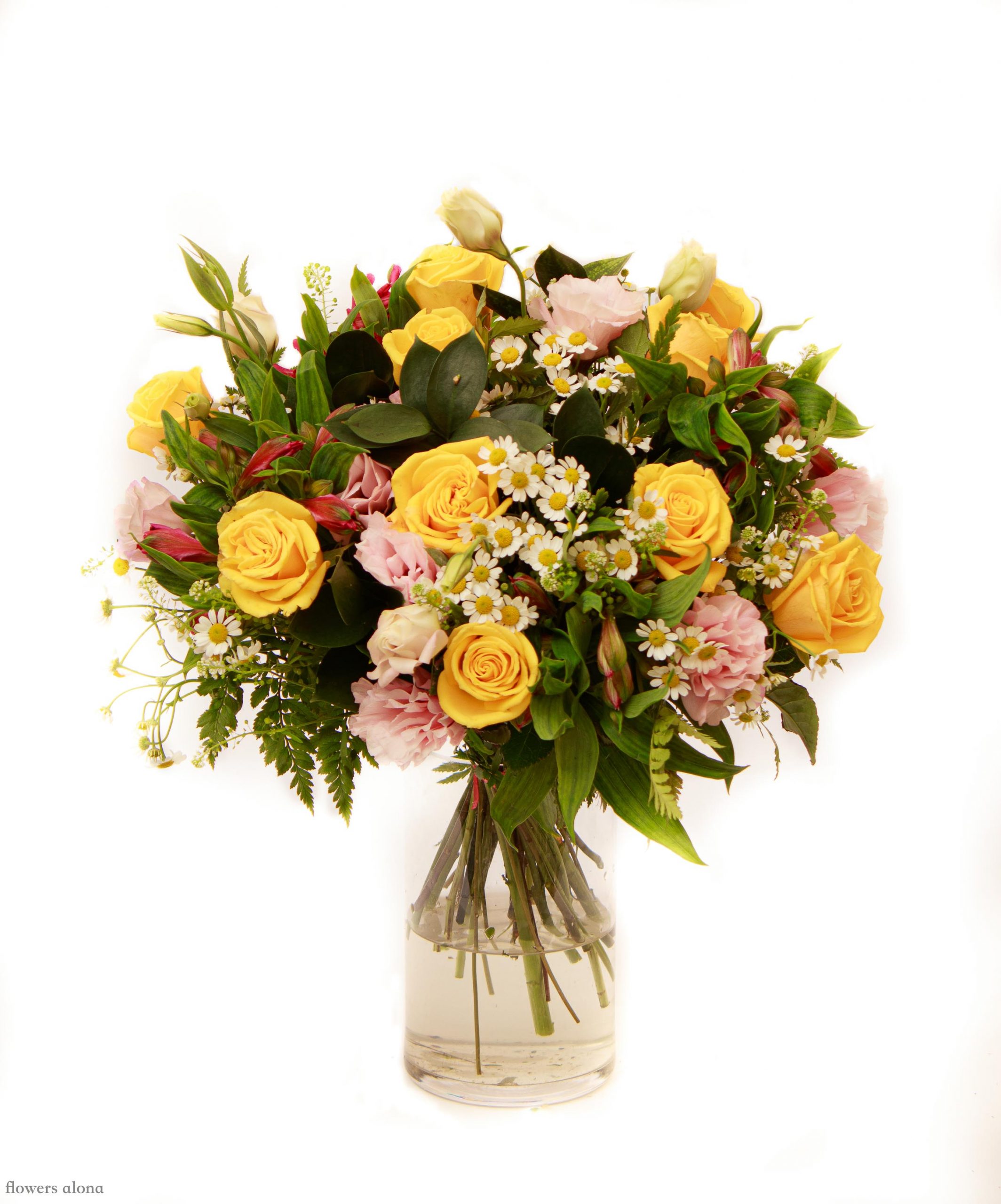 יום שמשי - דה גרדן