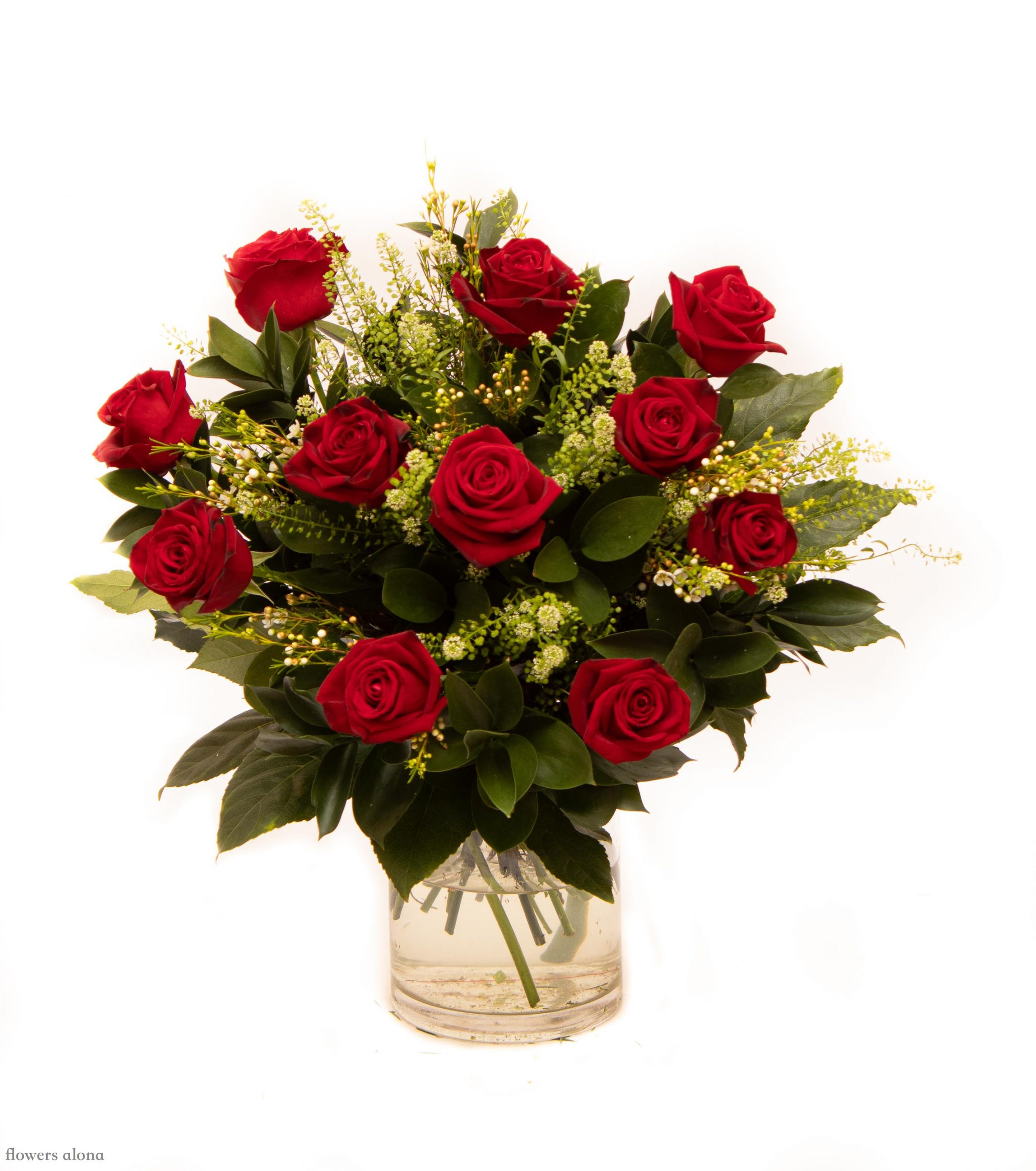 כוחה של אהבה - דה גרדן