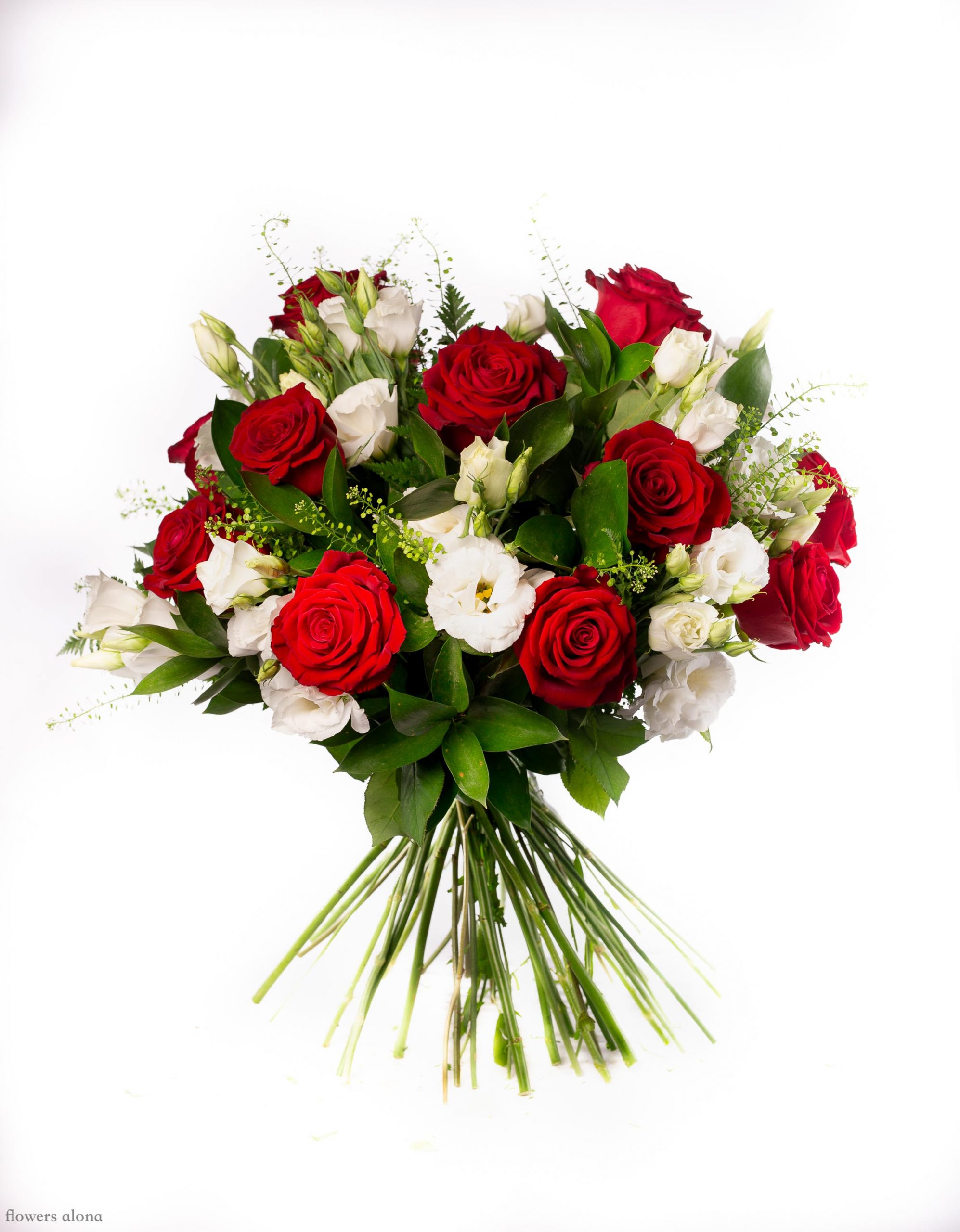 נשיקות של אושר - דה גרדן