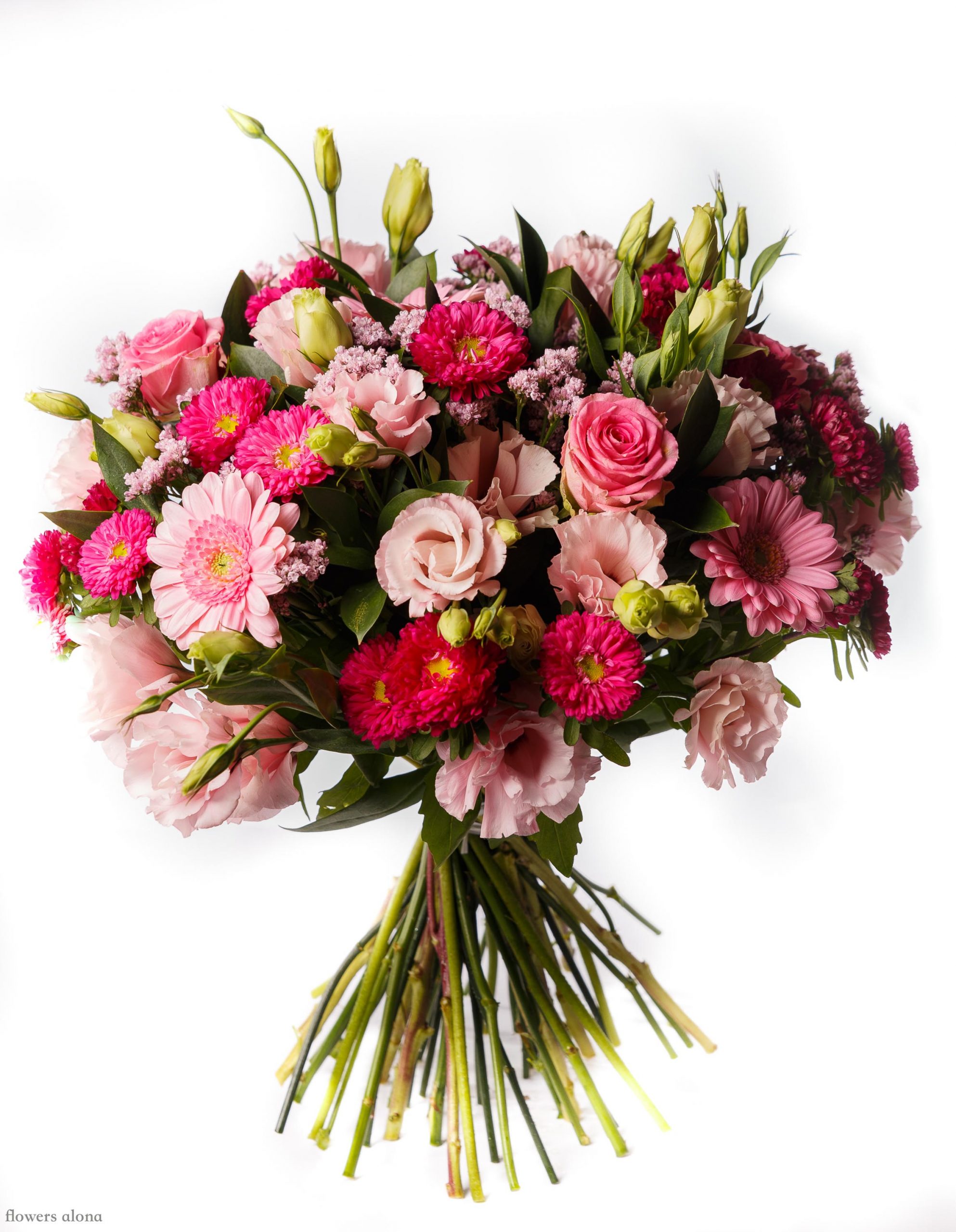 עתיד וורוד - דה גרדן