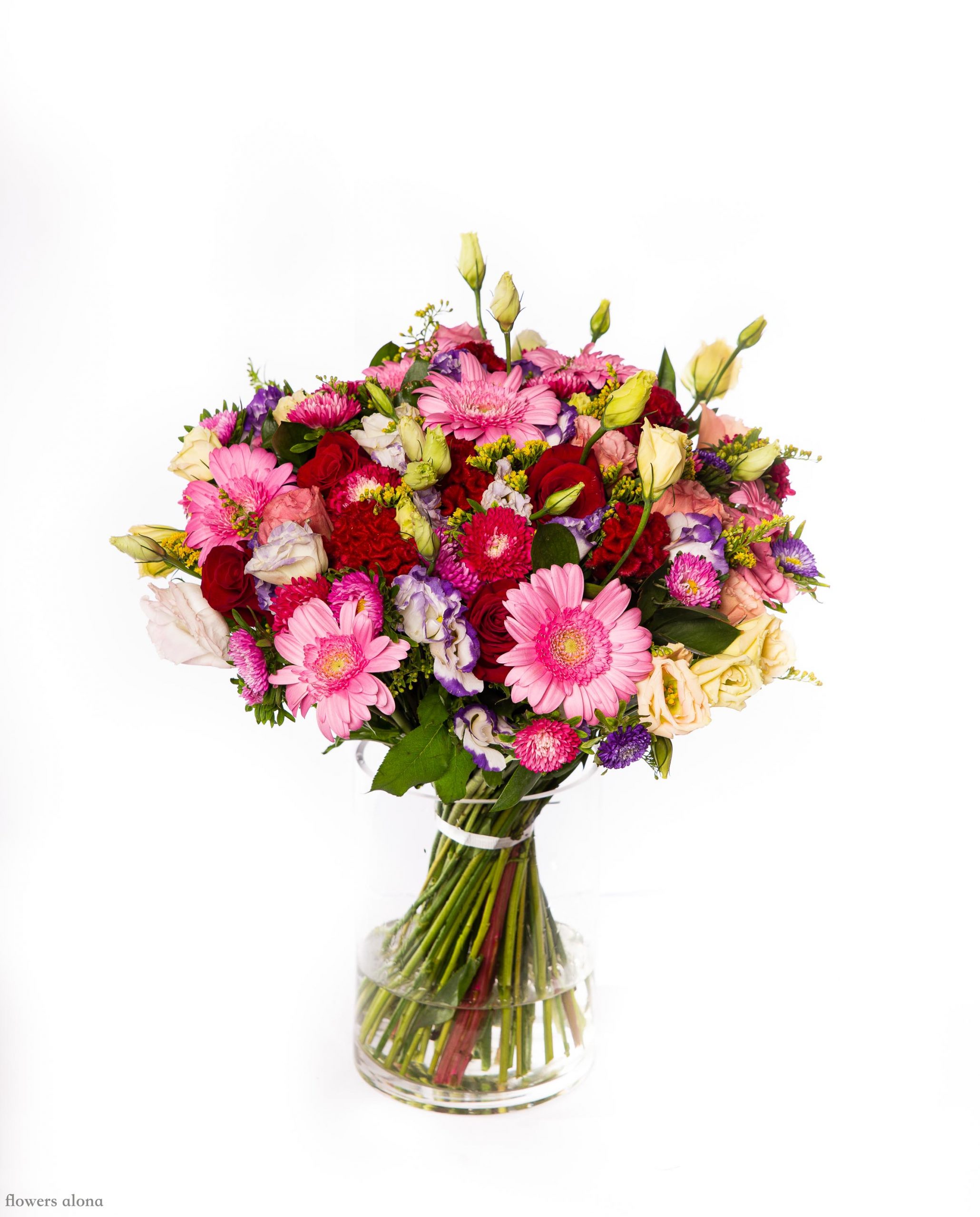 פירות יער - דה גרדן