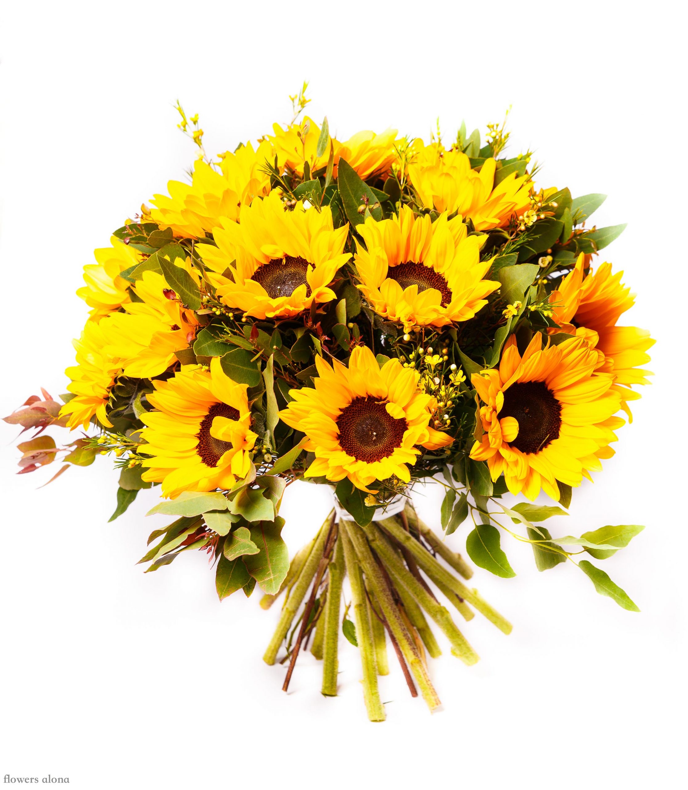 רגעים חמים - דה גרדן