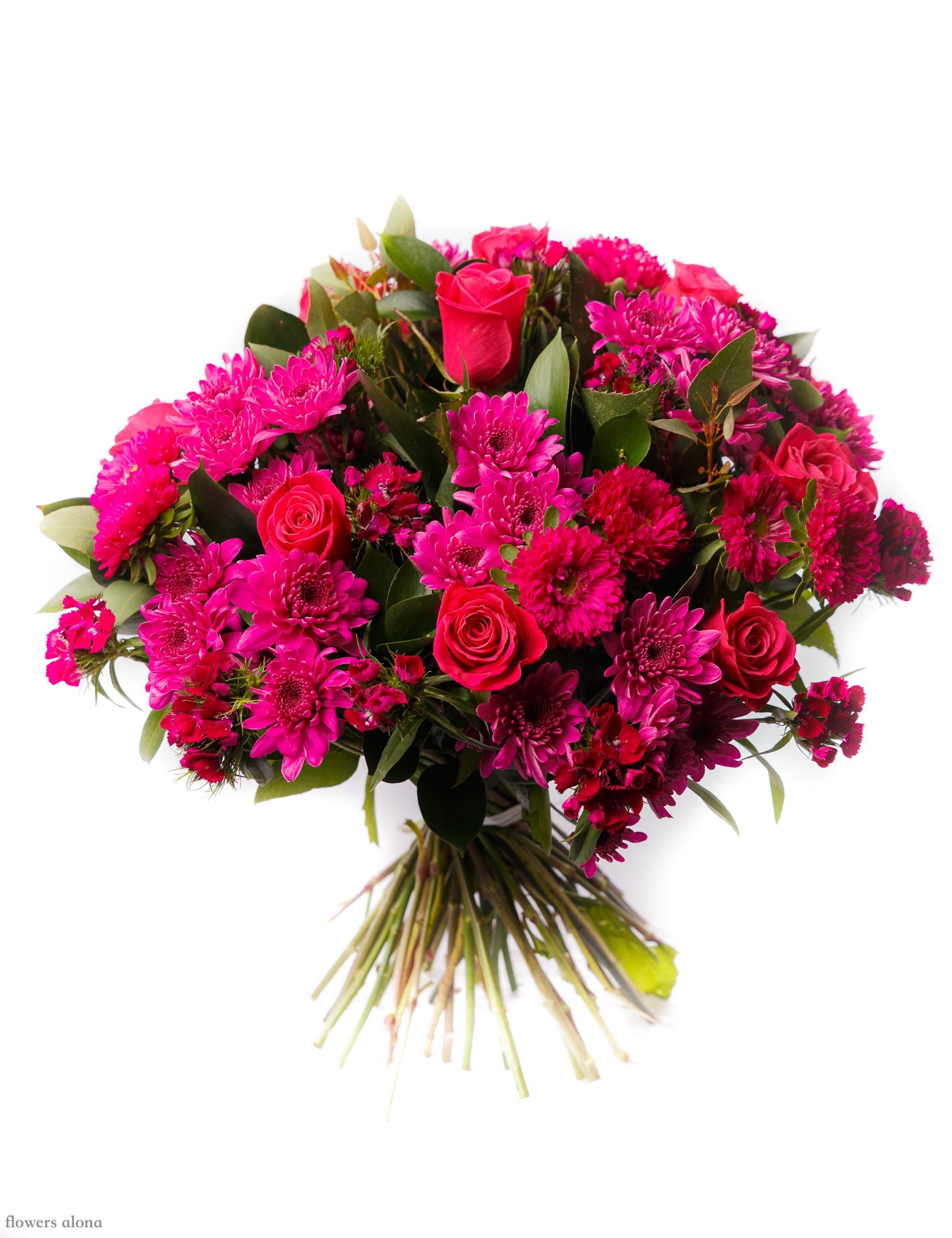 רוזיטה - דה גרדן