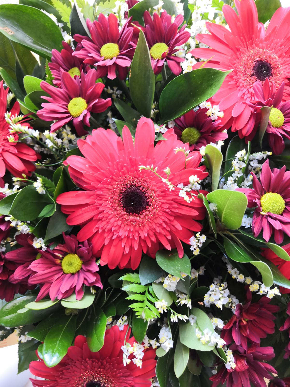 זר 21 פרחי ענבל