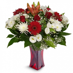 זר אהבה במרומים - לב הגליל