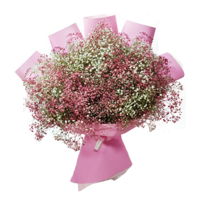 זר גיבסנית ורוד לבן - לב הגליל