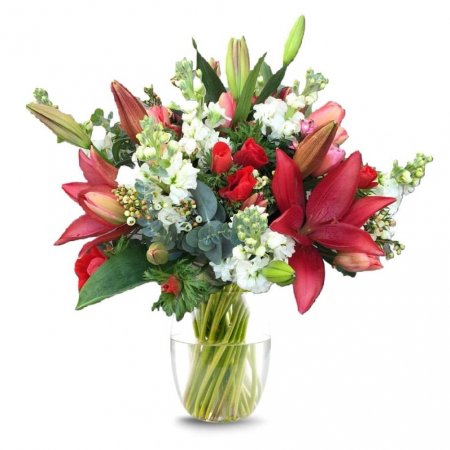 חורף בקטנה - פרחי דליה