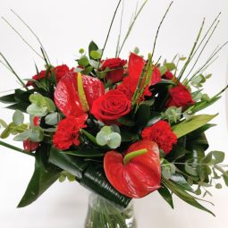 גבעת כלניות - אורכידאה