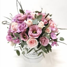 דיל לחג - אורכידאה