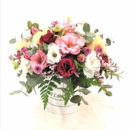 דיל לחג - אורכידאה