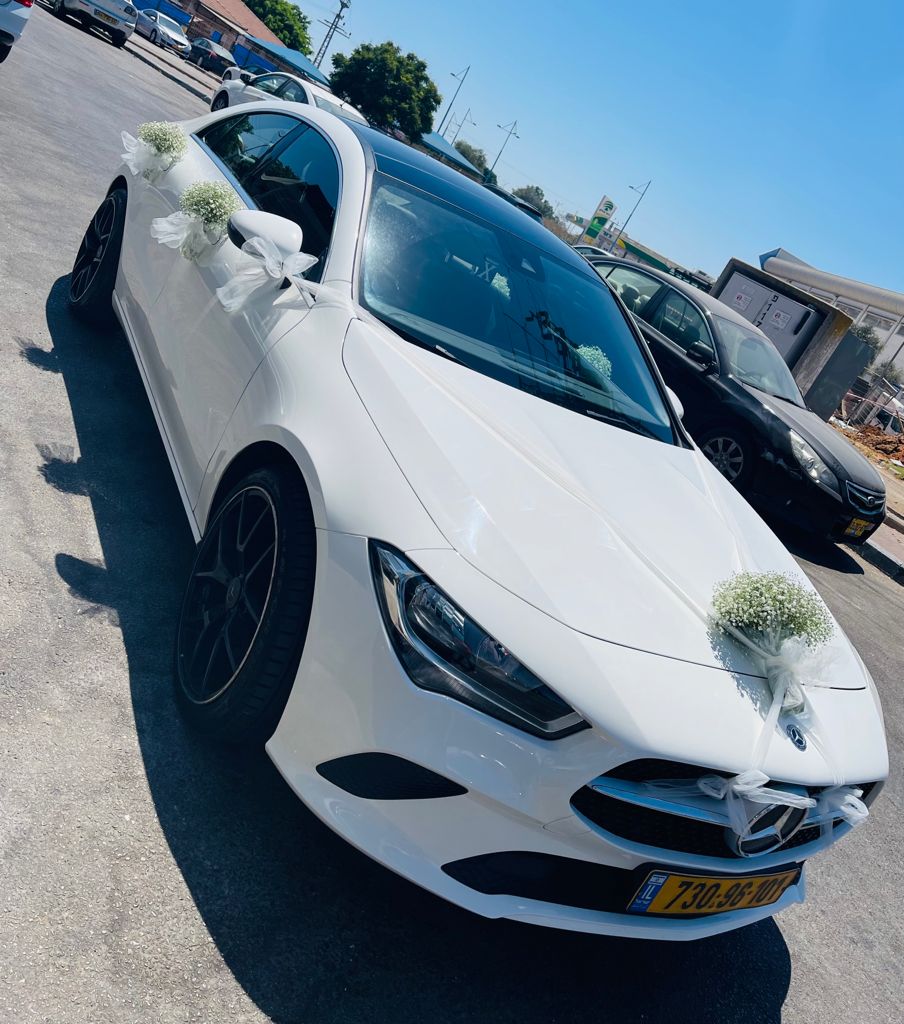 קישוט רכב - 1 - ויקטוריה