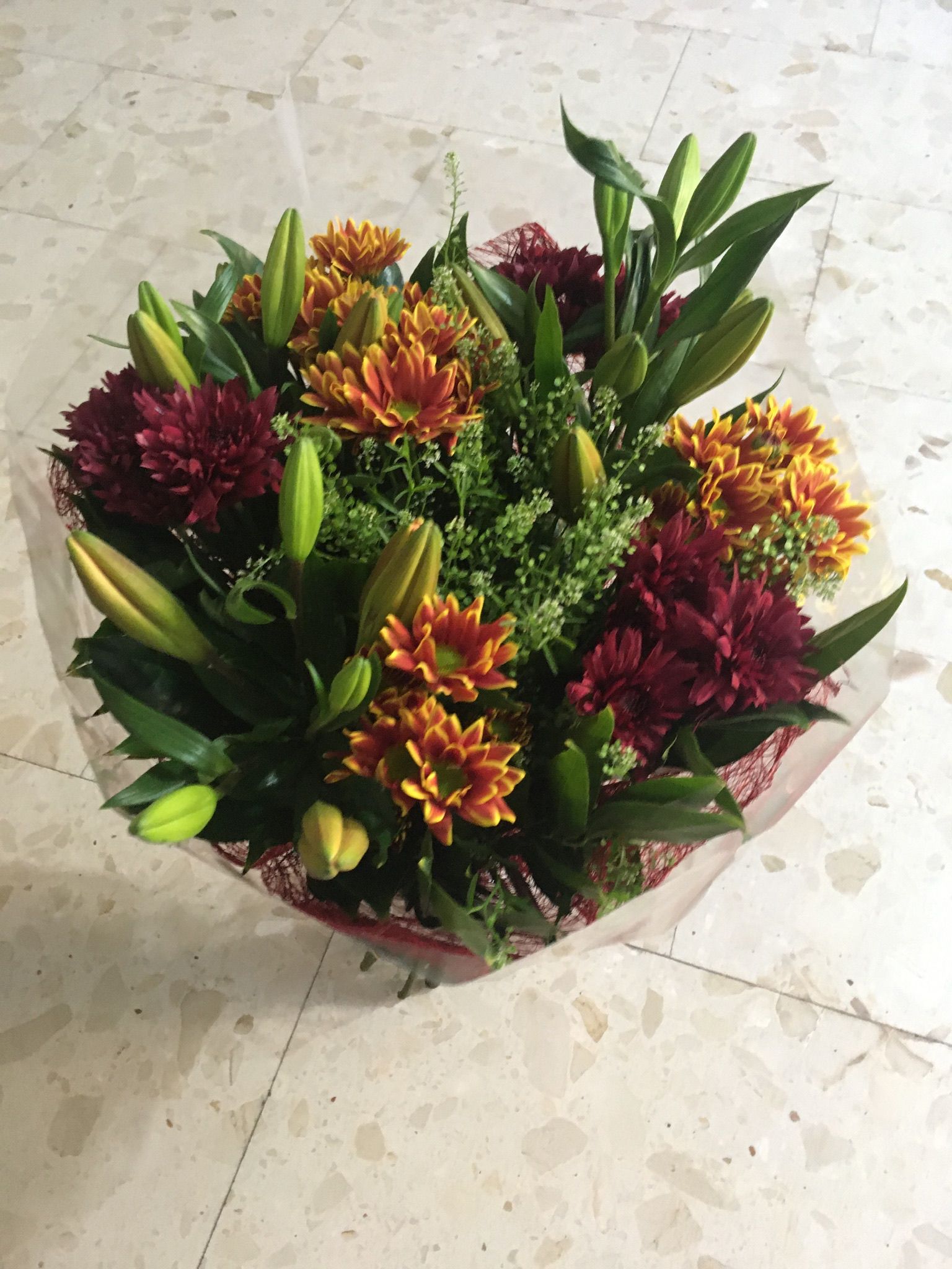 זר 35 - פרח וסימפטיה - זכרון יעקב